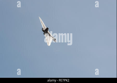 XH558 Vulcan fairwell flight Banque D'Images