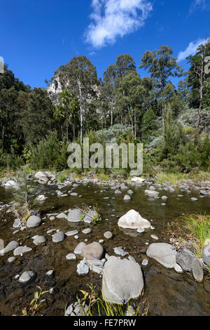 Carnarvon Gorge, Queensland, Australie Banque D'Images