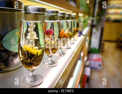 Différents types de thé chinois fleur en pot de verre affiche dans le magasin. Banque D'Images
