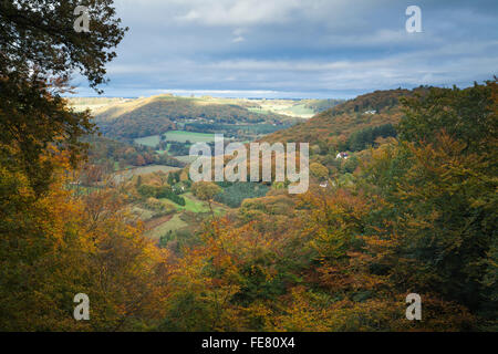 Une vue de la vallée de la Wye et de la forêt de Dean en affichant des couleurs d'automne riche près de Llandogo, Monmouthshire, Wales Banque D'Images