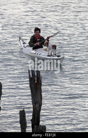 Parsons, de bois flotté et retraite Eco-Tours kayak sur le lagon à Wairau Bar, Marlborough Banque D'Images