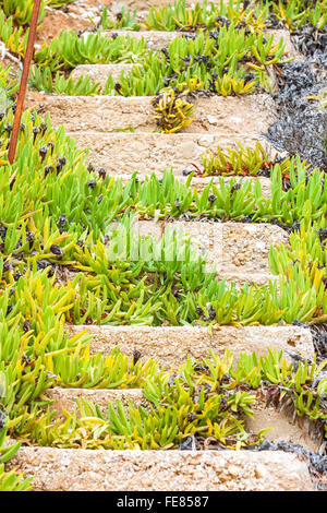 Ancien escalier en béton en ruine sur la plage de Nea Moudania, péninsule de Halkidiki, Grèce Banque D'Images