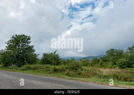 Route pittoresque à travers les montagnes des Balkans en jour nuageux, Petrohan, Bulgarie Banque D'Images