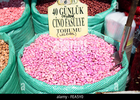 Beans for sale at market, Istanbul, Turquie Banque D'Images