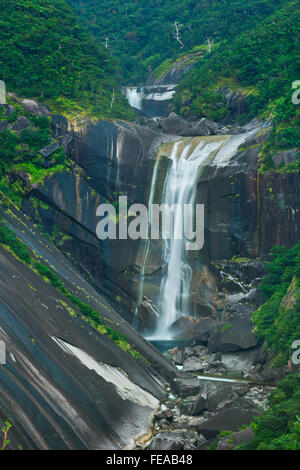 L'Senpiro Falls (Senpiro-no-taki, 千尋の滝) sur le sud de l'île de Yakushima (屋久島), au Japon. Banque D'Images