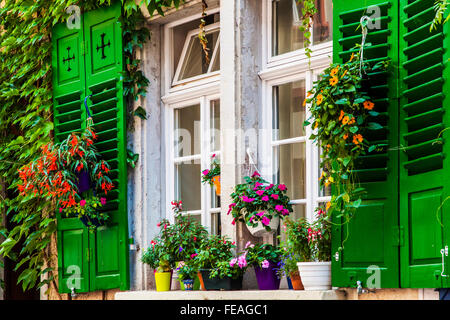 Jolies fenêtres avec volets en bois, pots de fleurs et de la vieille ville de Heidelberg. Banque D'Images