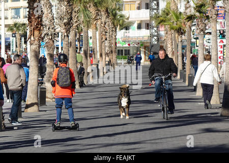 Jeune homme monté sur un hoverboard sur la promenade de Benidorn, Espagne man riding bike tout en conduisant dog Banque D'Images