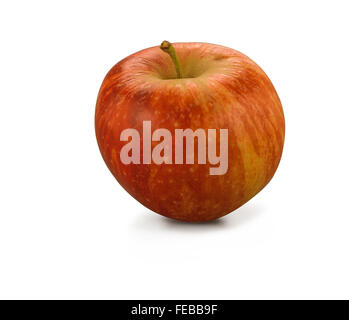 Apple fiesta biologique isolé sur fond blanc Banque D'Images