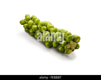 Choux de bruxelles biologiques stalk isolated on white Banque D'Images