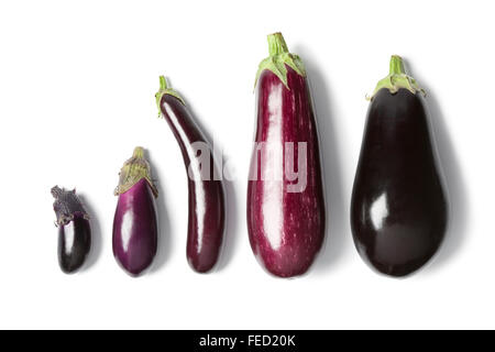 Composition de l'aubergine pourpre sur fond blanc Banque D'Images