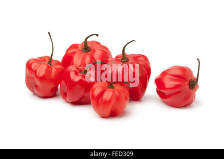 Piments Scotch bonnet rouge sur fond blanc Banque D'Images