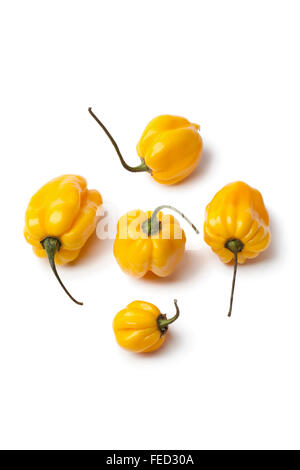 Des piments Scotch Bonnet jaune sur fond blanc Banque D'Images