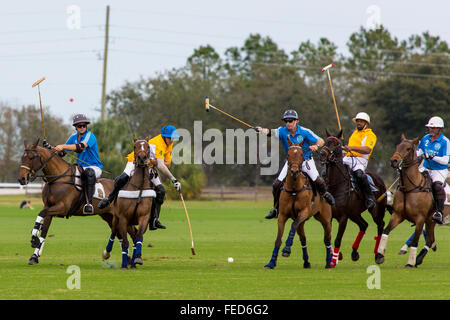 Polo à Sarasota Polo Club à Lakewood Ranch à Sarasota en Floride Banque D'Images