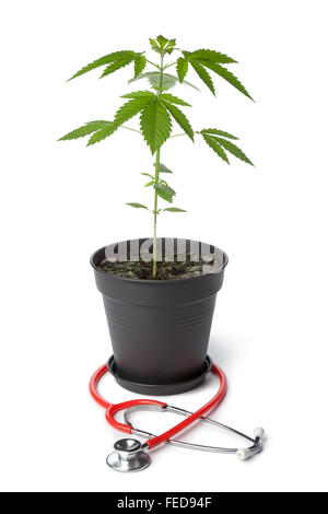 Medical Marijuana, Cannabis with stethoscope Banque D'Images