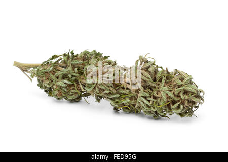 La marijuana séchée bourgeons avec THC visibles sur fond blanc Banque D'Images