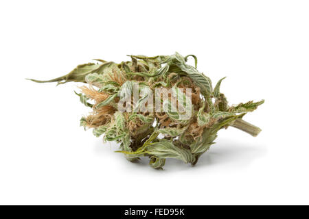 La marijuana séchée bud avec THC visibles sur fond blanc Banque D'Images