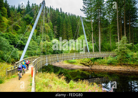 Les vététistes sur pont sur Lakeside Way Trail dans la forêt de Kielder Park Parc national de Northumberland Banque D'Images