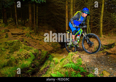 Du vélo de montagne sur Lonesome Pine Trail dans la forêt de Kielder Park Parc national de Northumberland Banque D'Images