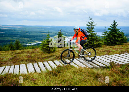 Du vélo de montagne sur boardwalk sur Lonesome Pine Trail dans la forêt de Kielder Park Parc national de Northumberland Banque D'Images