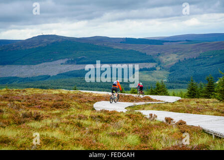 Les vététistes sur boardwalk sur Lonesome Pine Trail dans la forêt de Kielder Park Parc national de Northumberland Banque D'Images