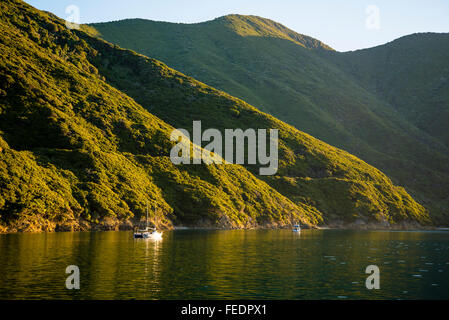 Bateaux à soir Ketu Bay Pelorus Sound Marlborough Sounds ile sud Nouvelle Zelande Banque D'Images