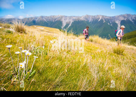 Les randonneurs sur la voie du paddy sur le mont Robert, au-dessus du lac Rotoiti dans Nelson Lakes National Park ile sud Nouvelle Zelande Banque D'Images