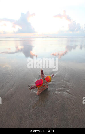 Dans l'étoile de mer sur la plage de l'été lunettes de soleil au lever du soleil Banque D'Images