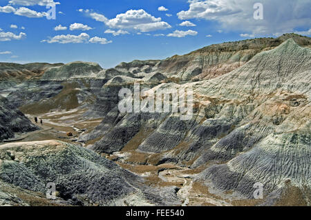 Les touristes à marcher le long de la Blue Mesa Trail dans le Painted Desert et Petrified Forest National Park, Arizona, USA Banque D'Images