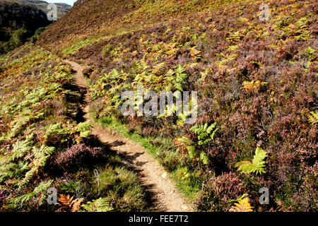 Le chemin d'Kirkaig Falls, Lochinver, Sutherland, Scotland Banque D'Images