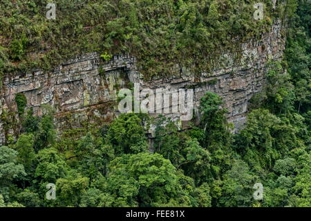 Ravin après MacMac cascade, Mpumalanga, Blyde River area, Sabie, Afrique du Sud Banque D'Images