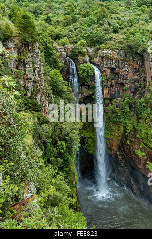 Mac Mac cascade, Mpumalanga, Blyde River area, Sabie, Afrique du Sud Banque D'Images