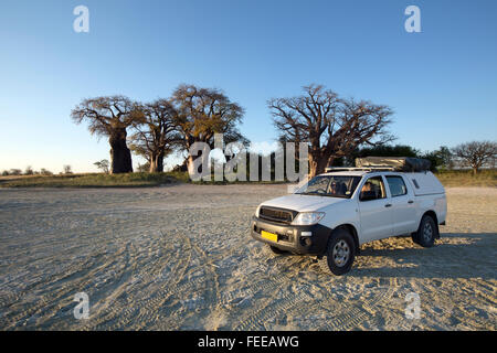 Baines Baobabs au Botswana Banque D'Images