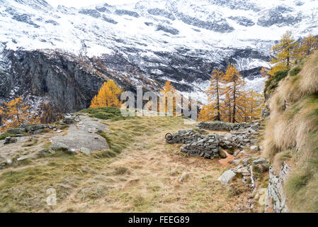 Début octobre la neige sur le chemin du lac Cingino en Vallée Antrona, Piémont, Alpes Italiennes Banque D'Images