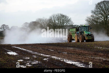 L'épandage de fumier sur une ferme arables, Alderton, Suffolk, UK. Banque D'Images