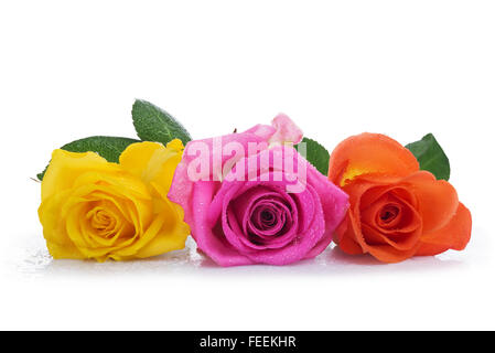 Trois roses : jaune, orange et rose, isolé sur fond blanc Banque D'Images