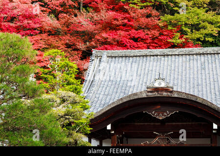 Temple Nanzenji en automne, Kyoto, Japon, Kansai Banque D'Images