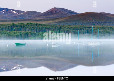 Lever du jour au milieu de l'été sur Morlich, Glenmore, Parc National de Cairngorms, en Écosse. Banque D'Images