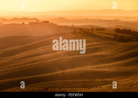 Tuscany, rolling hills on sunset. Crete Senesi rural landscape and sunlight. Green fields, a farm with trees. Siena, Italy Banque D'Images