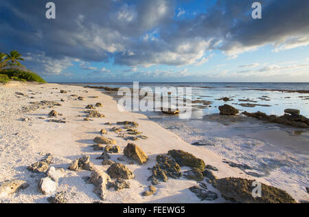 Plage au lever du soleil, Fakarava, Tuamotu, Polynésie Française Banque D'Images