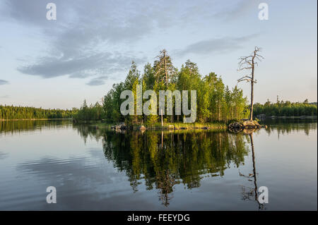 Avec les petites îles du lac et forêt de pins en russe au nord près de la Finlande Banque D'Images