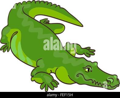 Crocodile vert dans un style de dessin animé. Illustration de Vecteur