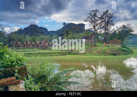 Tongkonan traditionnel village Kete Kesu. Tana Toraja, Sulawesi. L'Indonésie Banque D'Images