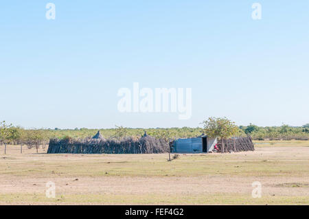 OWAMBOLAND, NAMIBIE - Mai 21, 2011 : Une ferme de l'Ovambo, dans la partie nord de la Namibie à côté de la route de Ruacana Banque D'Images