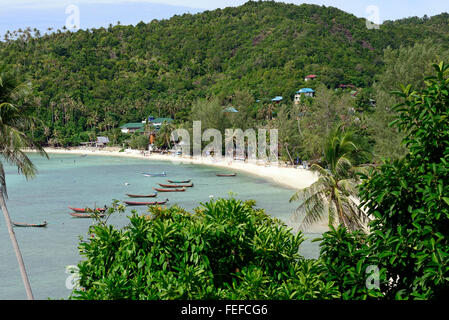 Bateaux à longue queue a Koh Phangan Thaïlande Salade Banque D'Images