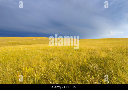 Soir sur la steppe sauvage Banque D'Images