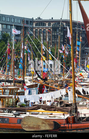 La voile - Amsterdam, 2015 Banque D'Images