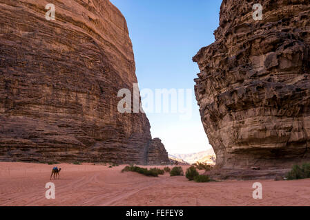 Lawrence d'arabie dans la vallée de Wadi Rum, Jordanie. wadi Rum est également connu sous le nom de vallée de la lune. Banque D'Images