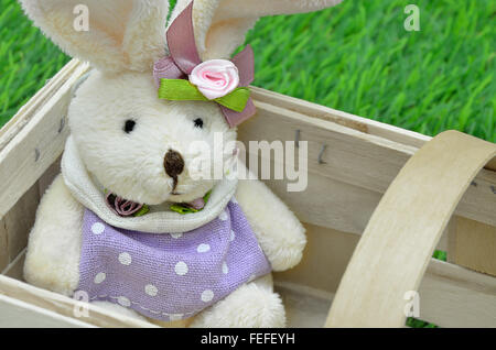 Close up d'un lapin de Pâques, femme avec robe pourpre, assis dans un panier, à l'extérieur sur l'herbe verte, horizontal, full frame Banque D'Images