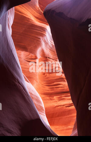 La lumière du soleil joue profondément dans Lower Antelope Canyon Arizona USA Page créer l'incroyable les couleurs et motifs de la lumière reflétant o Banque D'Images