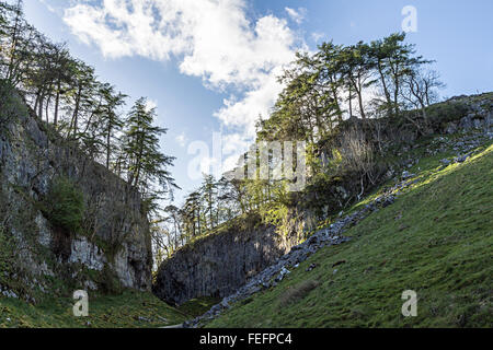 Trow Gill, Ingleborough, Yorkshire Dales, UK Banque D'Images